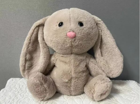 Soothing Plush Toy