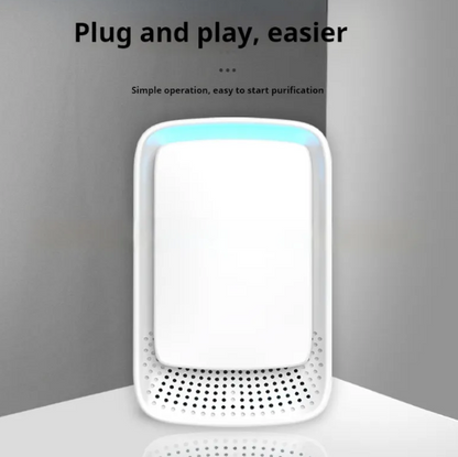 Household Anion Air Purifier